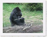 Dierentuin Burgers  Zoo 099 * 3648 x 2736 * (5.98MB)